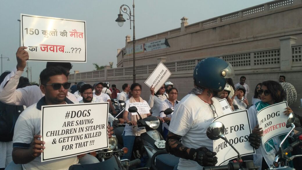 Save Sitapur innocent dogs NGO LAWF bike rally today