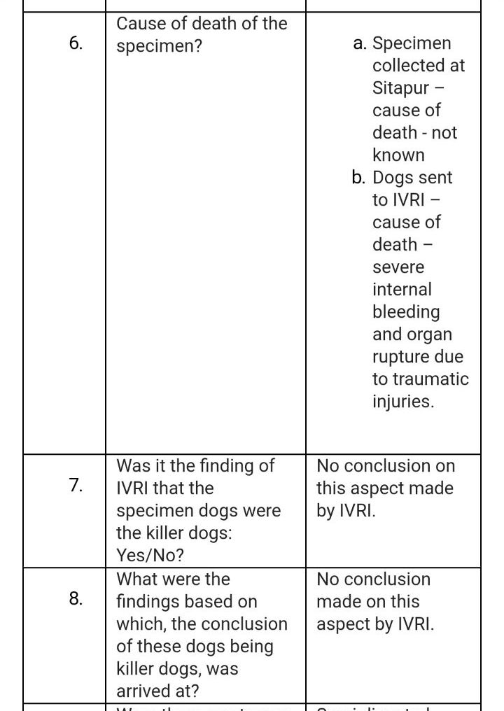 ivri report dead dogs not killers wild-animal-attacking not stop