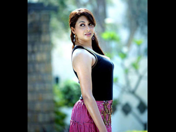 raid actress gayatri iyer