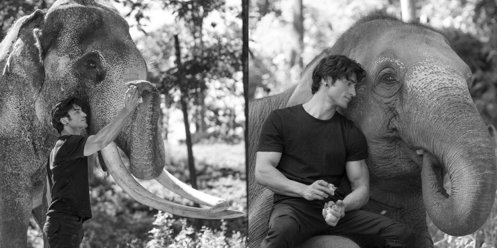 "I am mesmerized by the mighty elephants!": Vidyut Jammwal