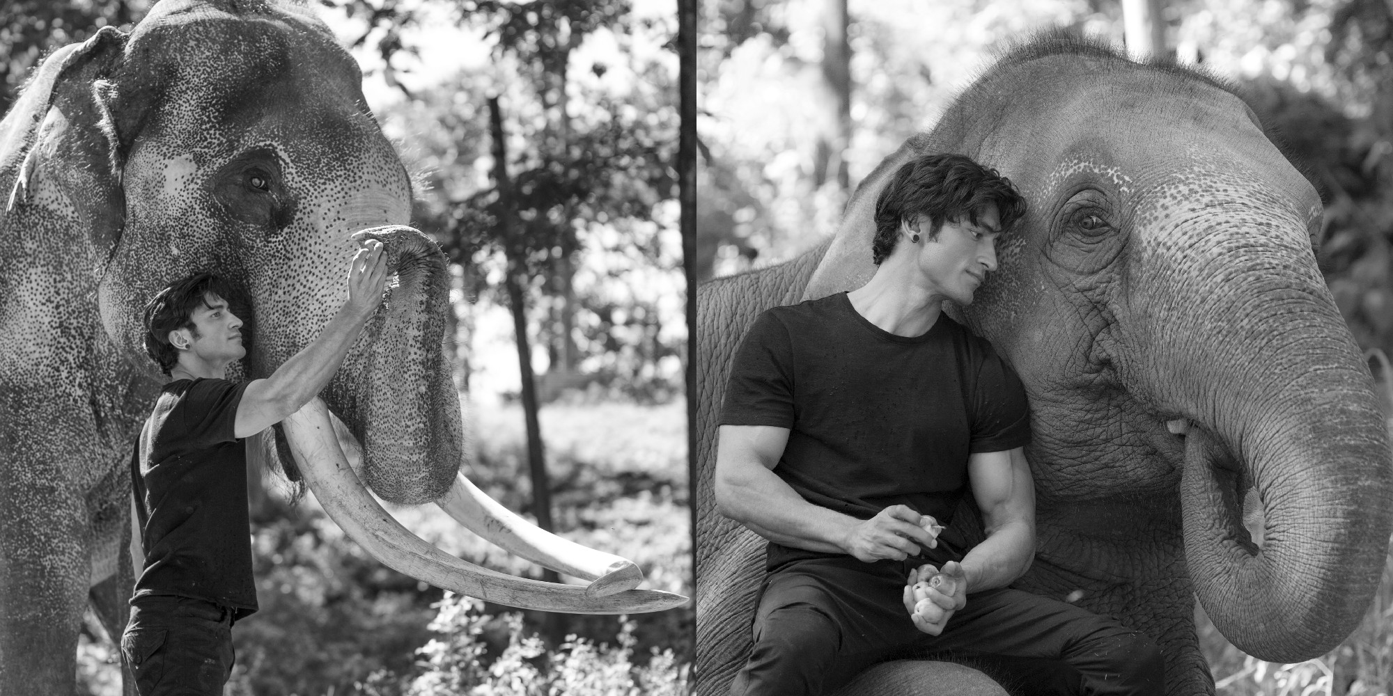 "I am mesmerized by the mighty elephants!": Vidyut Jammwal