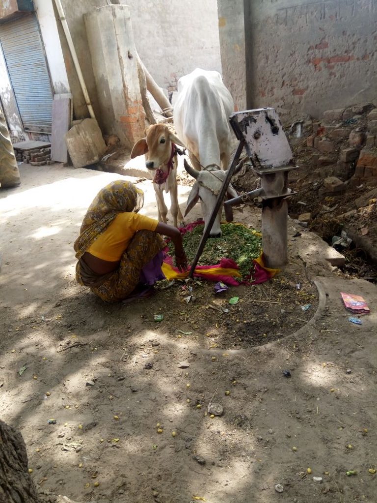 ख़राब पड़े हैंडपंपो की कोई नहीं ले रहा सुध