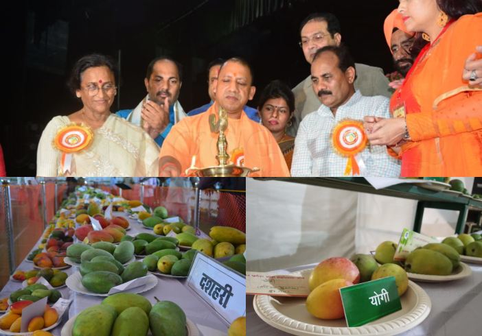 The UP Mango fest was celebrated at Indira Gandhi Pratishthan