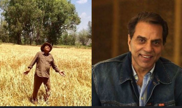 Bollywood actor Dharmendra is doing farming in his Village