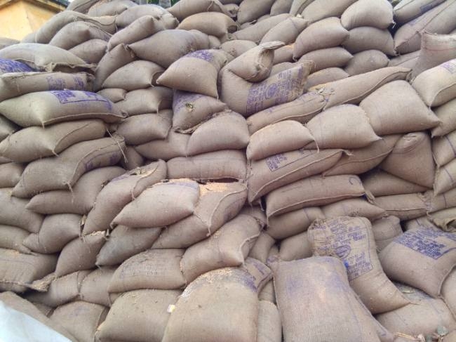 Government 4000 tons wheat destroyed in the rain