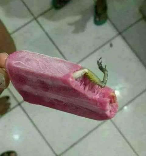 ice cream having lizard