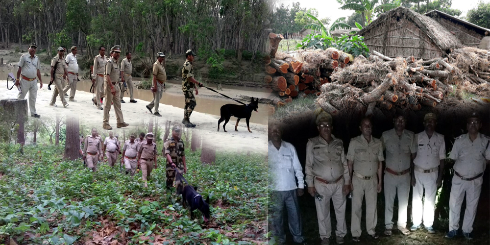 Operation Monsoon: Forest Department conducted Raids Khair woods seized Video