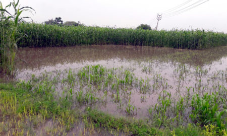 Goons Create trouble for farmers, build dam in River