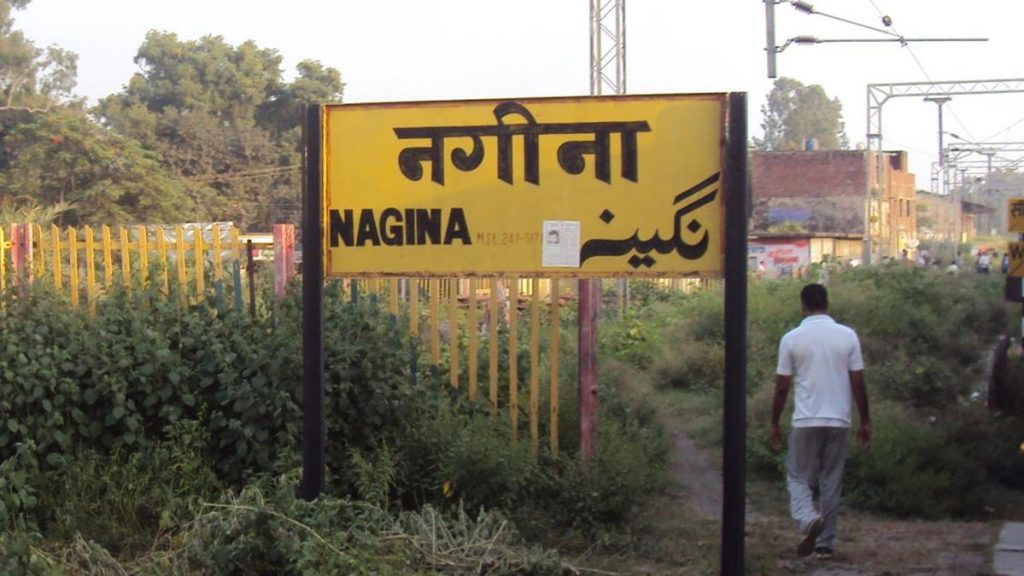 Nagina