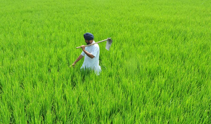 Fatehpur: Five-day Kisan Mela will be organized in Allipur Bahera village