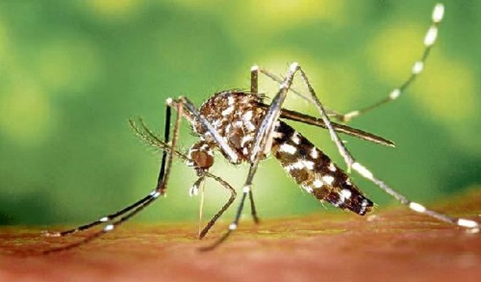 Jaunpur: Outbreaks of mosquitoes spread in villages