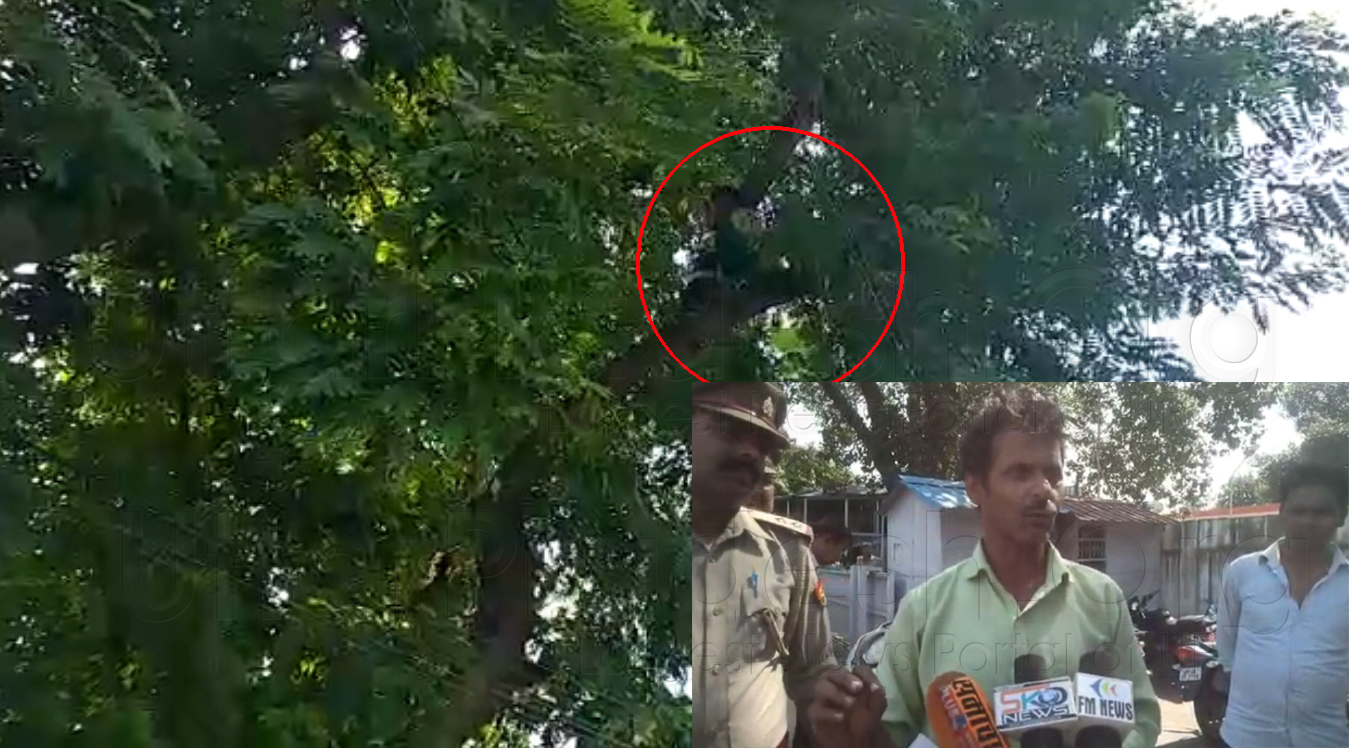 Man Climbed on Tree outside CM Yogi Residence Threatens Suicide