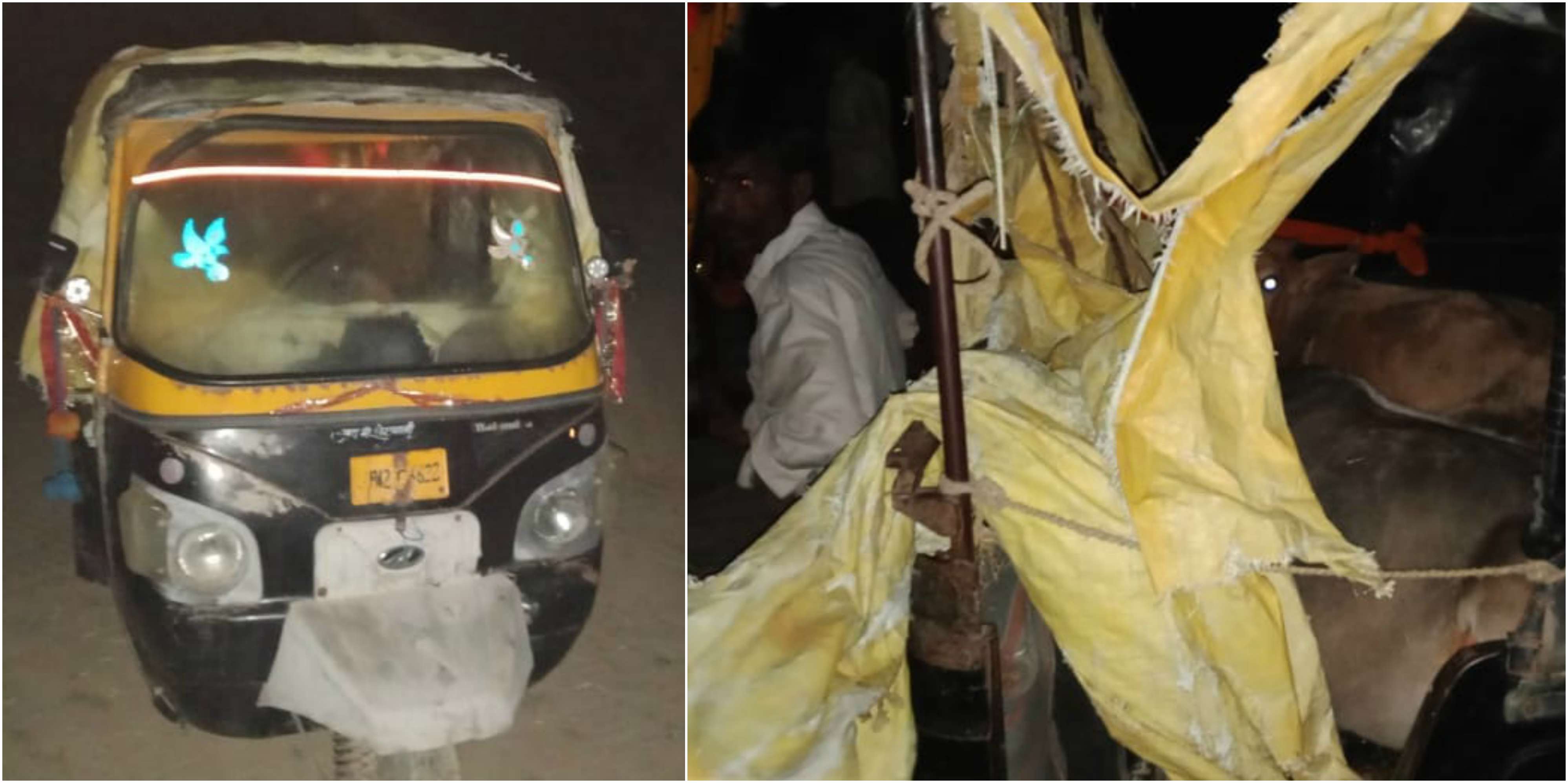 auto rickshaw full of restricted animals