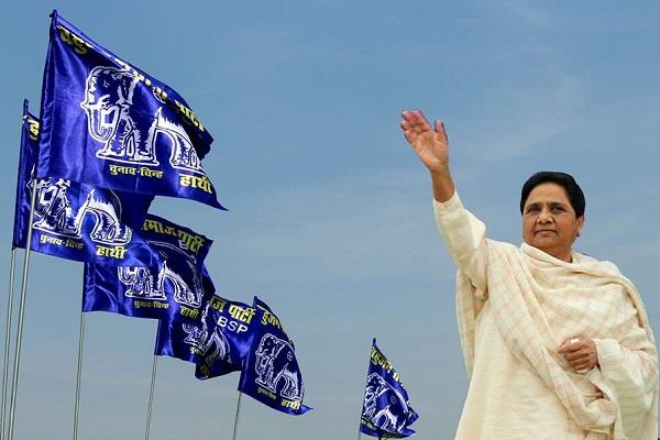 BSP becomes first choice