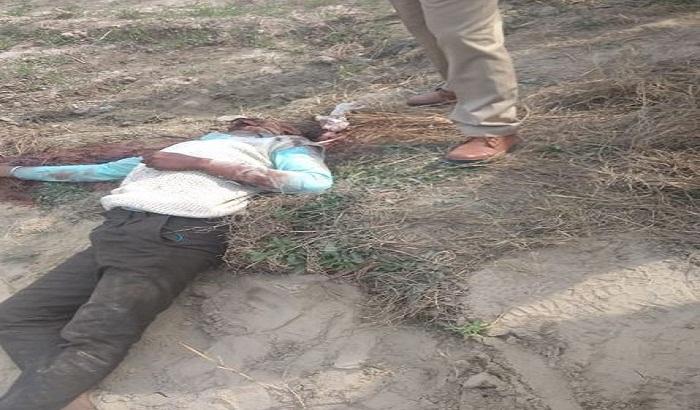 Deadbody founds in farm