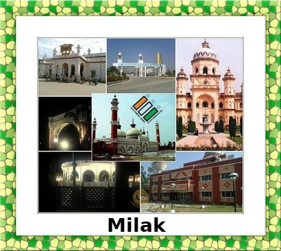 Milak Election Results 2022 - Know about Uttar Pradesh Milak Assembly (Vidhan Sabha) constituency election news