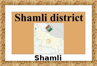 Shamli Election Results 2022 - Know about Uttar Pradesh Shamli Assembly (Vidhan Sabha) constituency election news