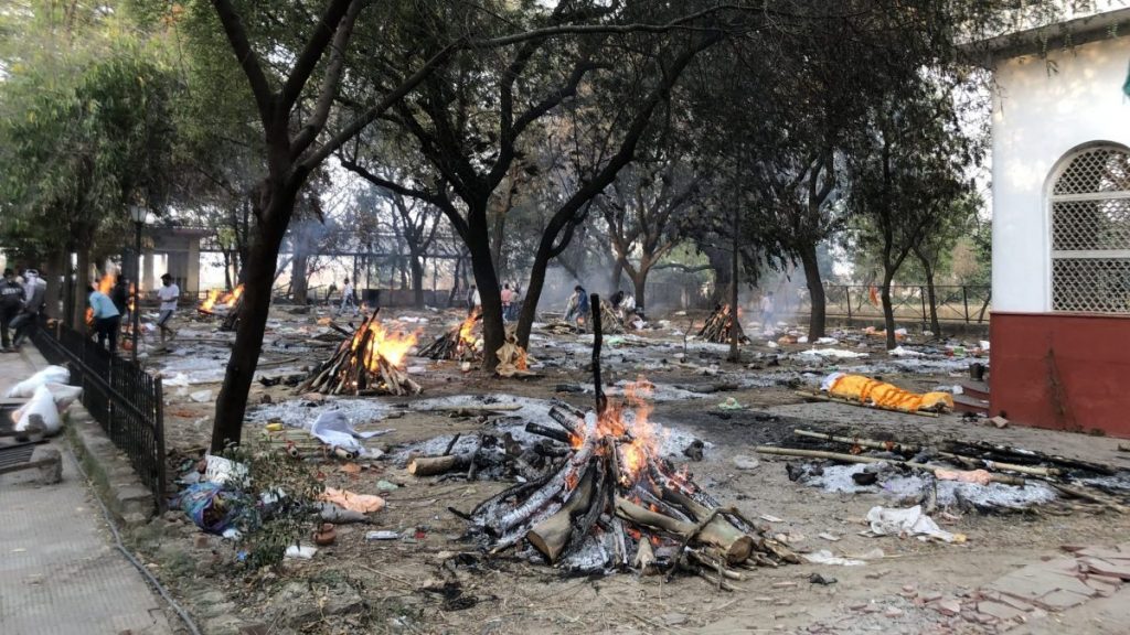 alambagh baikunth dham trees