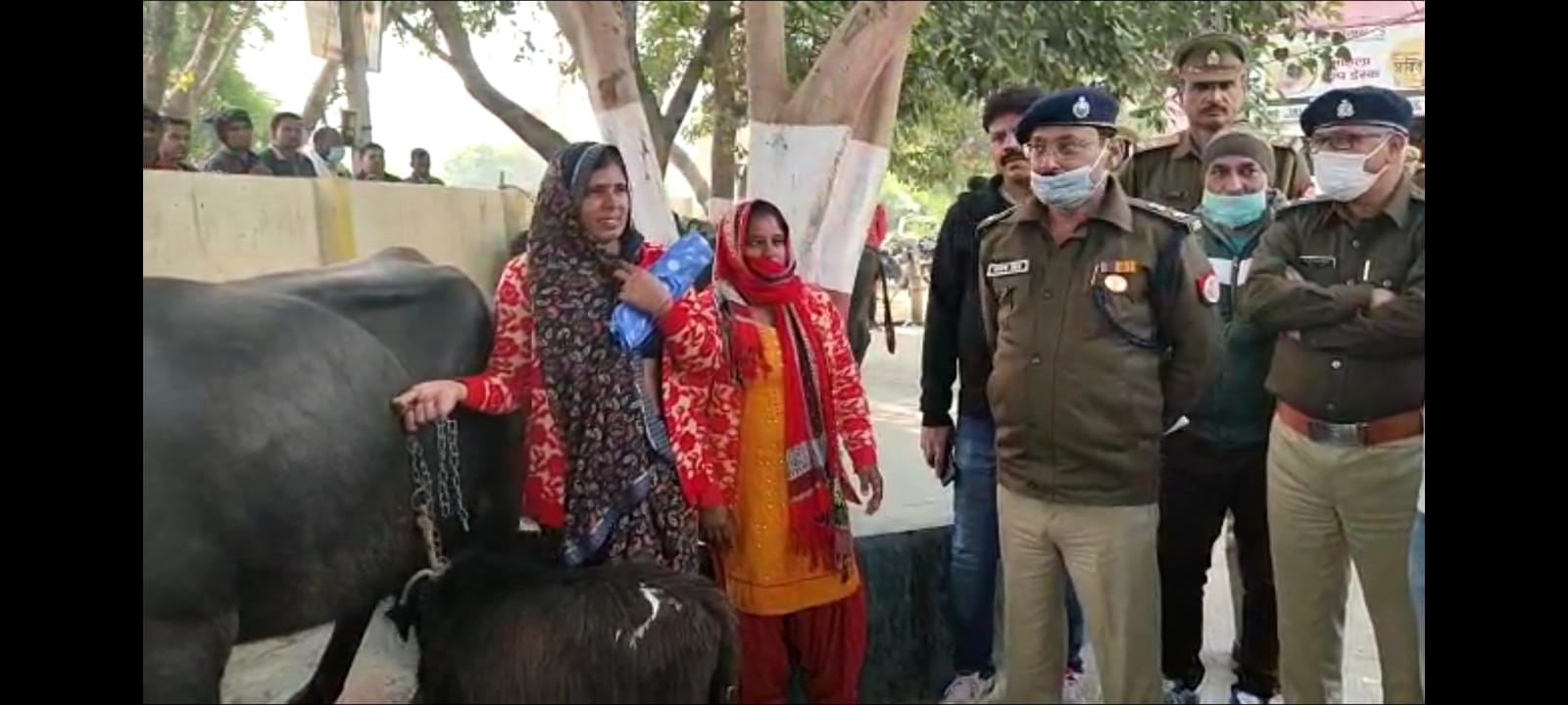 farmers-cried-over-buffalo-recovery-bulandshahr1