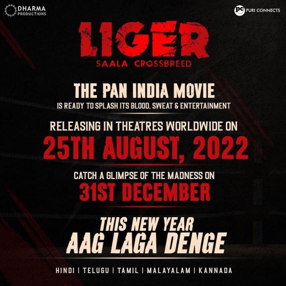 south-sensation-vijay-deverkonda-and-ananya-panday-starrer-liger