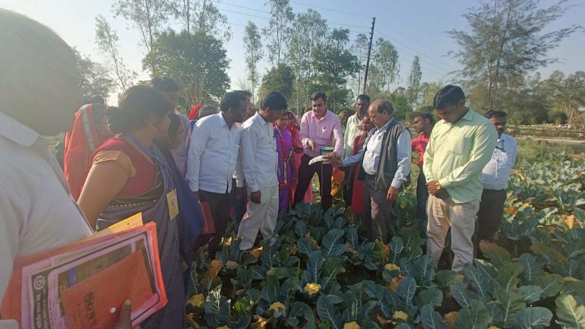 रसायनों का अंधाधुंध प्रयोग फसल के साथ ही किसानों के स्वास्थ्य के लिए हानिकारक -डॉ ज्ञान प्रकाश सिंह