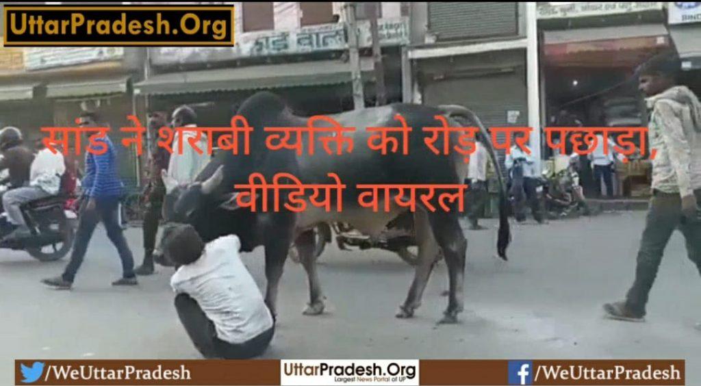 bull-beats-drunken-man-on-road-video-goes-viral-watch-video