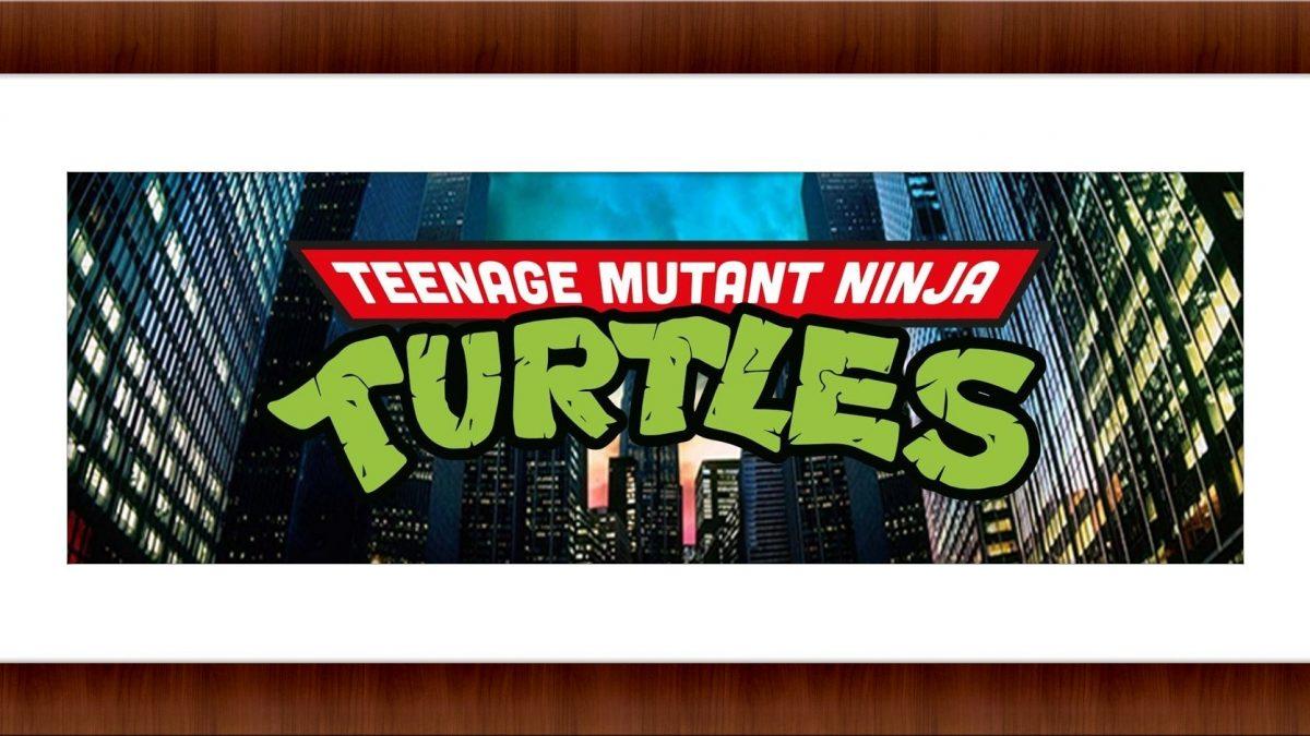 Presenting TMNT NFT, a unique collection of unique turtles set to electrify the NFT space.