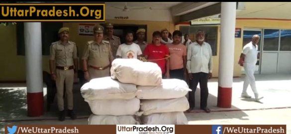 ganja smugglers arrested