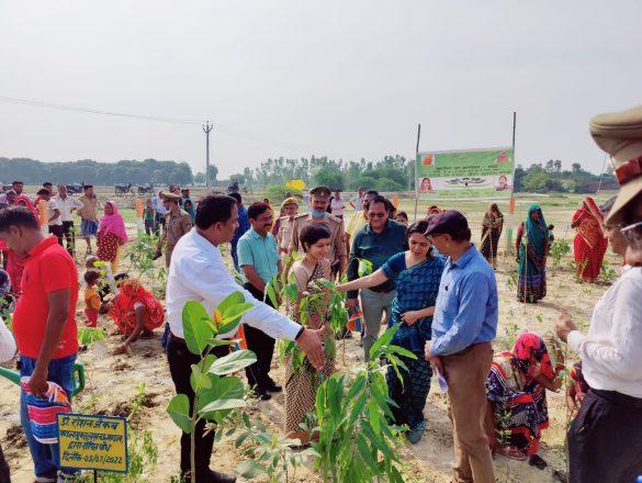 lucknow-divisional-commissioner-dr-roshan-jacob-inspected-plantation