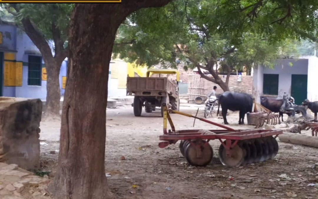 प्राथमिक विद्यालय बना तबेला – विस्तृत रिपोर्ट वीडियो के साथ।