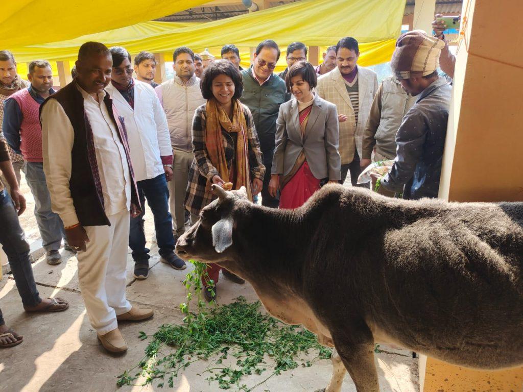 nodal-officer-inspected-the-large-cowshed