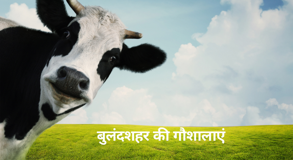 Gaushala in Bulandshahr - बुलंदशहर की गौशालाएं की जानकारी
