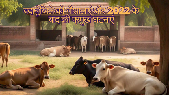 बदायूं जिले की गौशालाओं की स्थिति और 2022 के बाद की प्रमुख घटनाएं Gaushala in Badaun