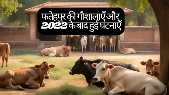 फतेहपुर जिले की गौशालाएँ और 2022 के बाद की प्रमुख घटनाएँ, प्रशासनिक बदलाव और सरकारी नीतियों का प्रभाव। Fatehpur Gaushala